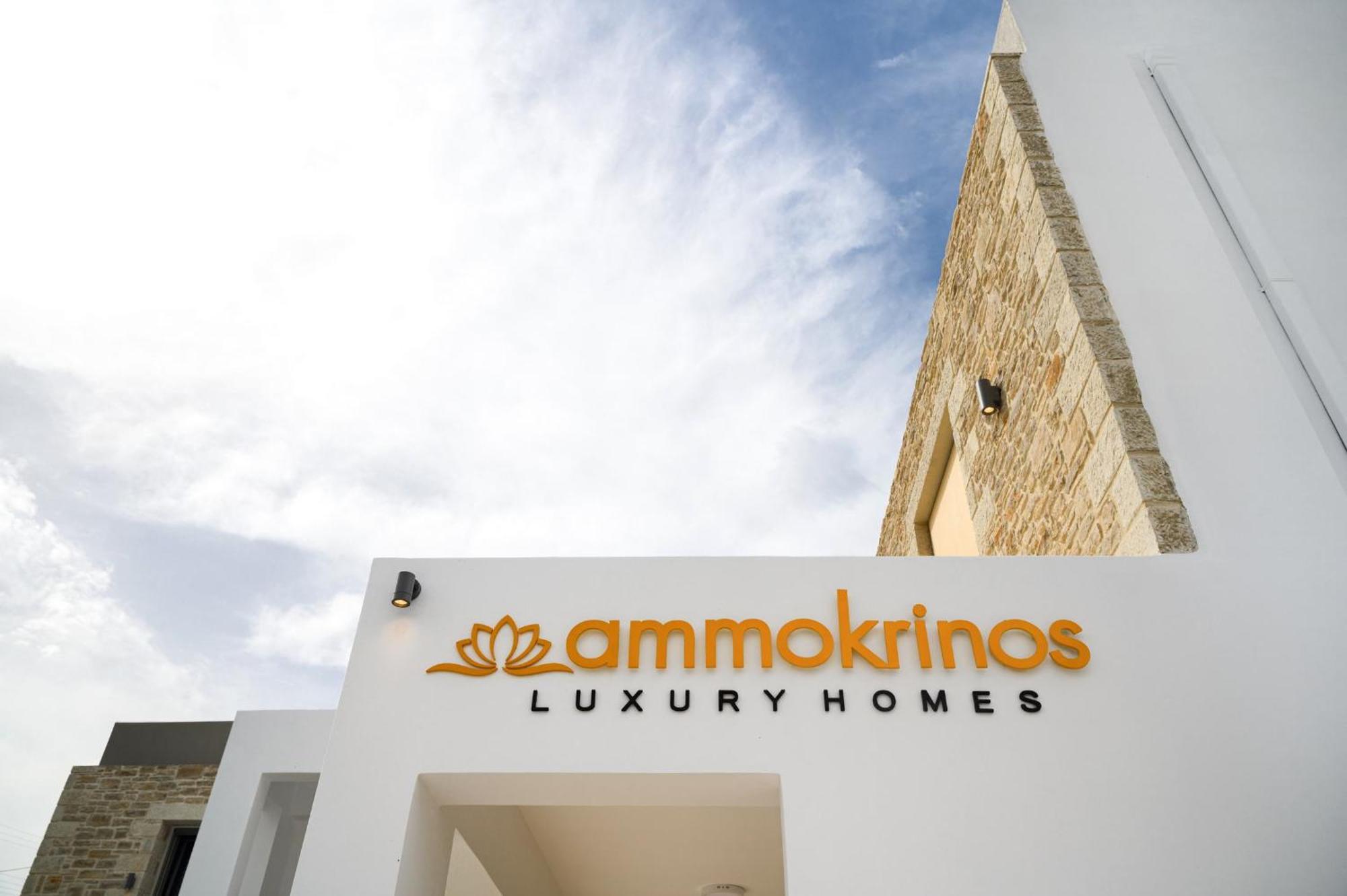 Ammokrinos Luxury Homes,150M From The Beach Kalamáki Kültér fotó